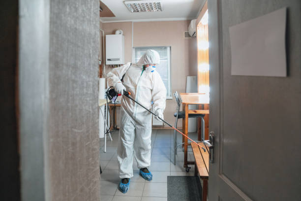 Best Post-Remediation Verification Testing  in Blackville, SC