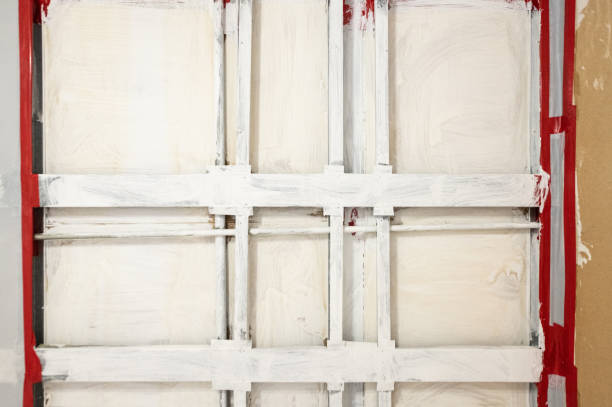 Environmental Consulting for Mold Prevention in Blackville, SC