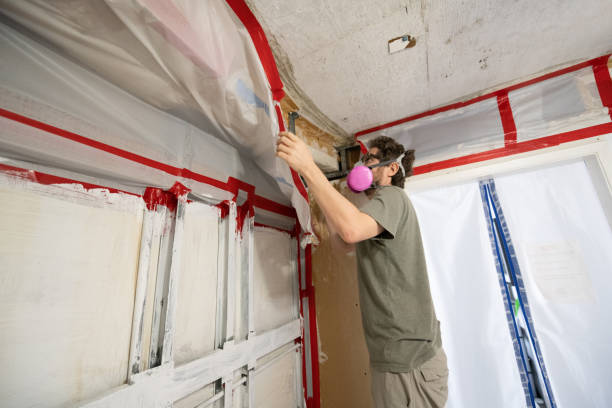 Best Post-Construction Mold Inspection  in Blackville, SC